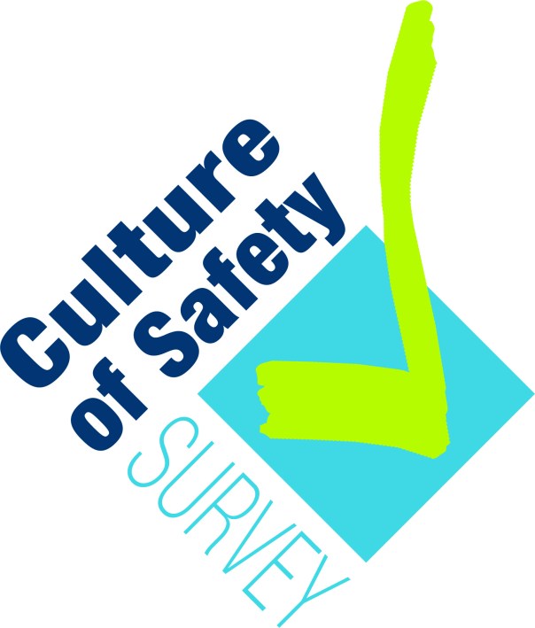 Cultrue of Safety_2
